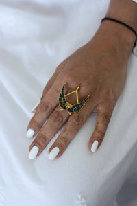 Pakshi-Dvaya Ringfrom Dori